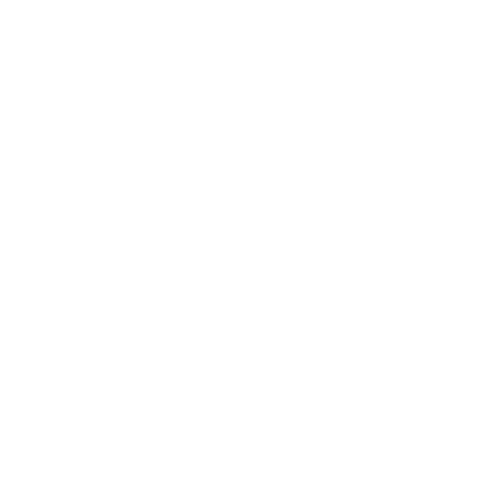 money-bag