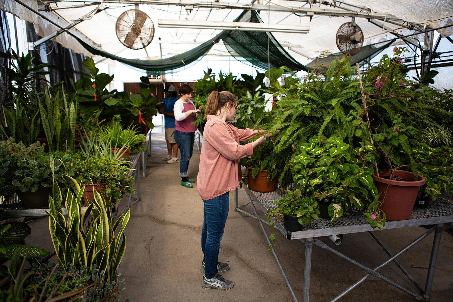 Students in the greenhouse on the Gainesville Campus